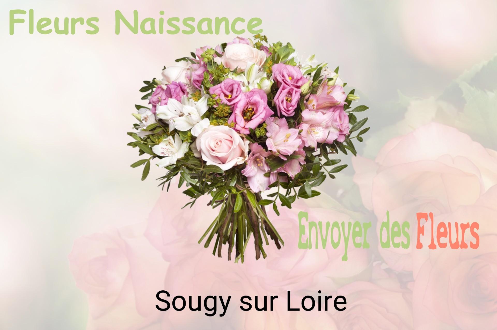 Bouquet de fleurs de naissance livré à Sougy-sur-Loire